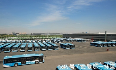 董明珠又"賭"贏了?比雷軍早5年造車,在業內的排名讓人意外