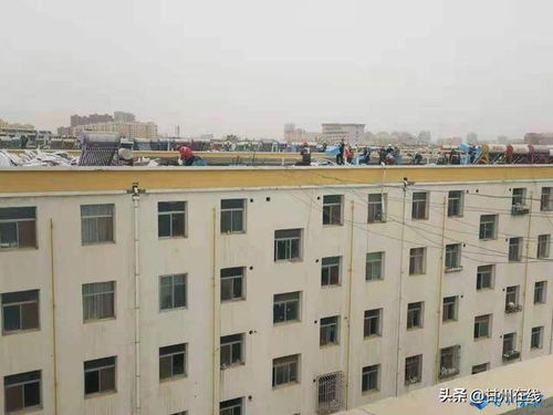 甘州區(qū)房地產(chǎn)經(jīng)營(yíng)管理公司認(rèn)真開展 我為群眾辦實(shí)事 讓 老 居民享受 新 生活