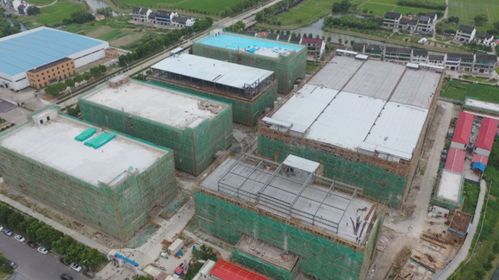 蘑菇小鎮(zhèn) 科技產(chǎn)業(yè)園 生態(tài)養(yǎng)豬場(chǎng) 金山這里的重點(diǎn)項(xiàng)目建設(shè)新進(jìn)展